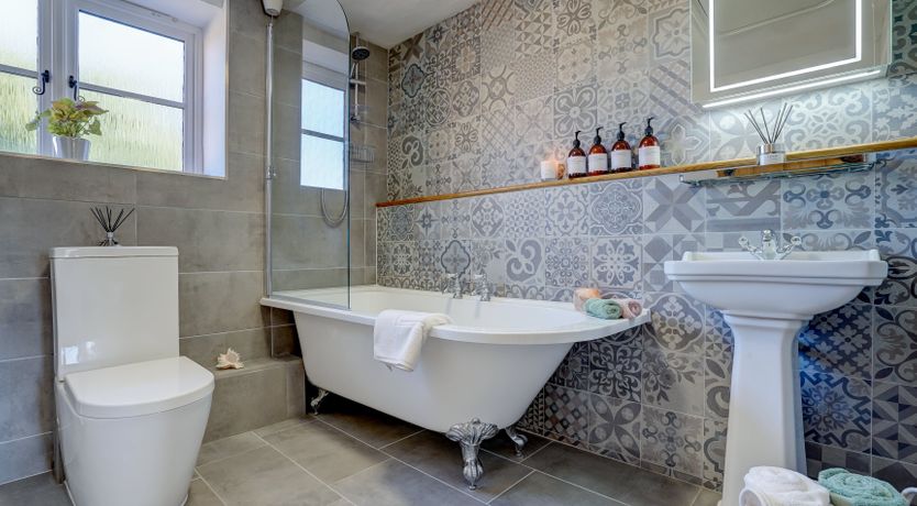 Photo of The Shelduck