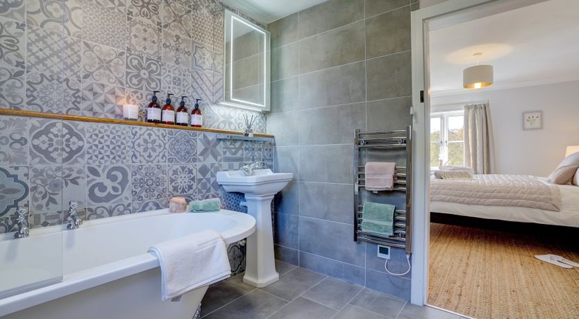 Photo of The Shelduck