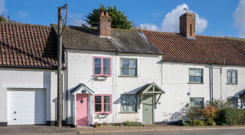 Photo of The Shelduck
