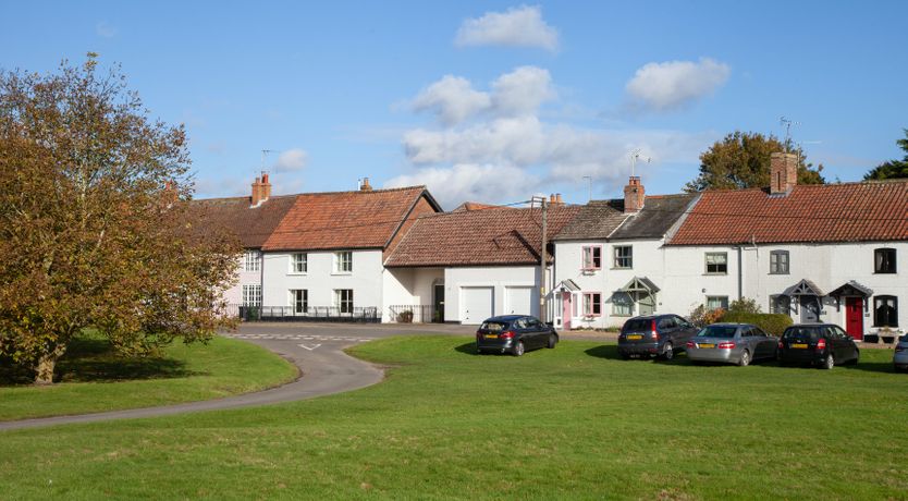 Photo of The Shelduck