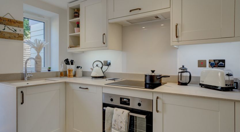 Photo of The Shelduck