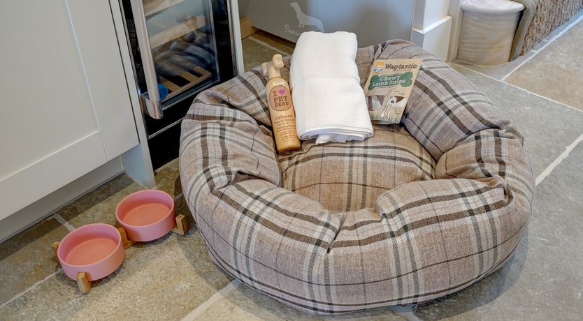 Photo of The Shelduck