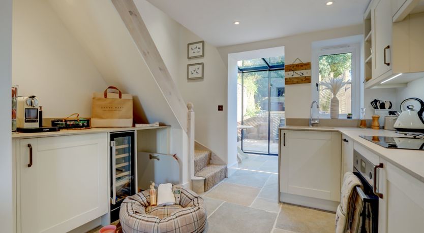 Photo of The Shelduck