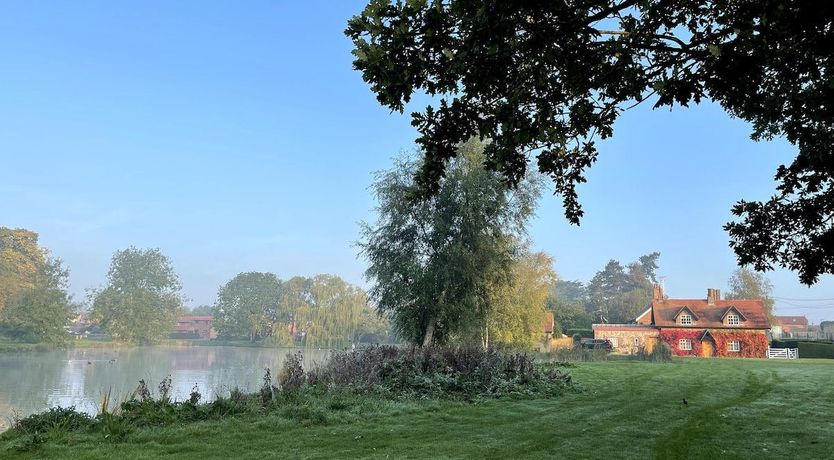 Photo of The Shelduck