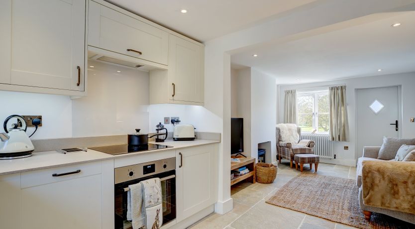 Photo of The Shelduck