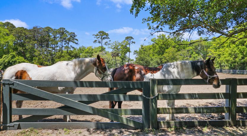Photo of Oyster & Pearl