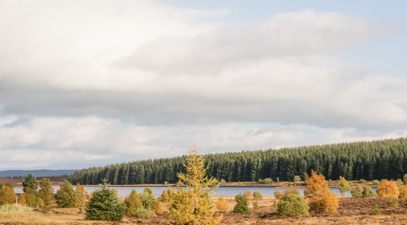 Photo of Ptarmigan Lodge