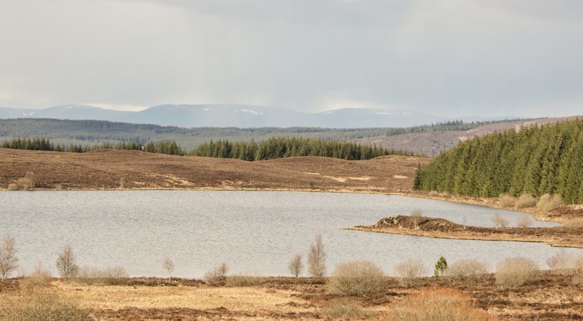 Photo of Ptarmigan Lodge