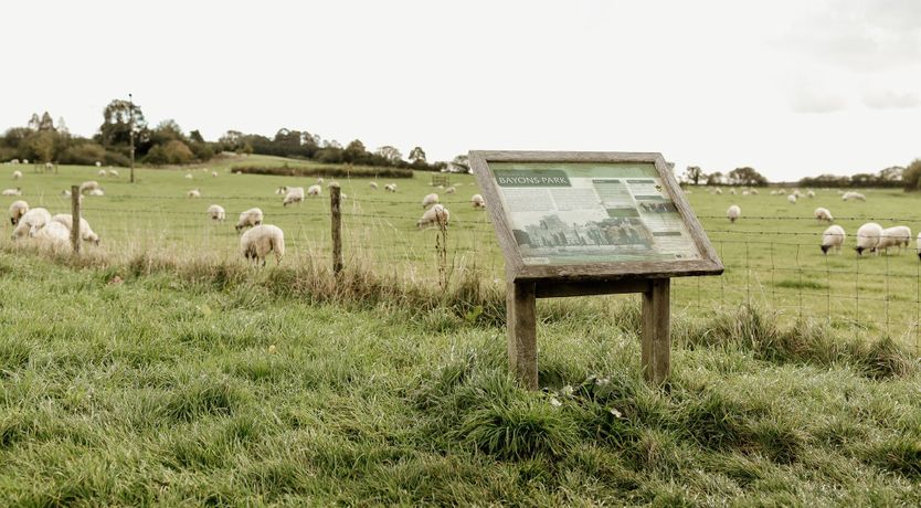 Photo of Pheasant's Nest