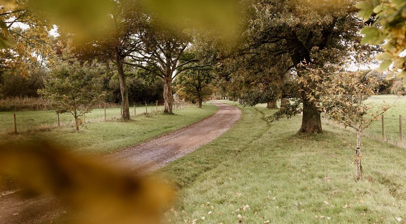 Photo of Pheasant's Nest