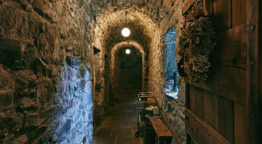 Photo of Castle Gold