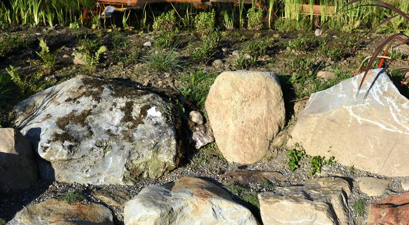 Photo of Castle Gold