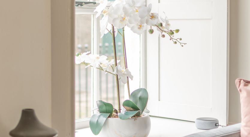 Photo of Georgian Elegance