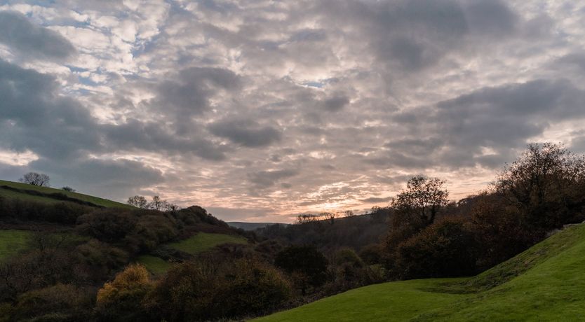 Photo of Watercress Soup