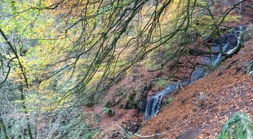 Photo of Wye Valley View