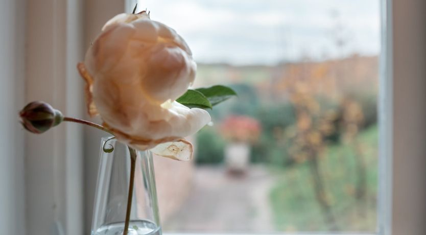 Photo of Wye Valley View