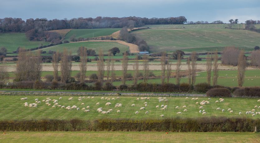 Photo of Cri de Coeur