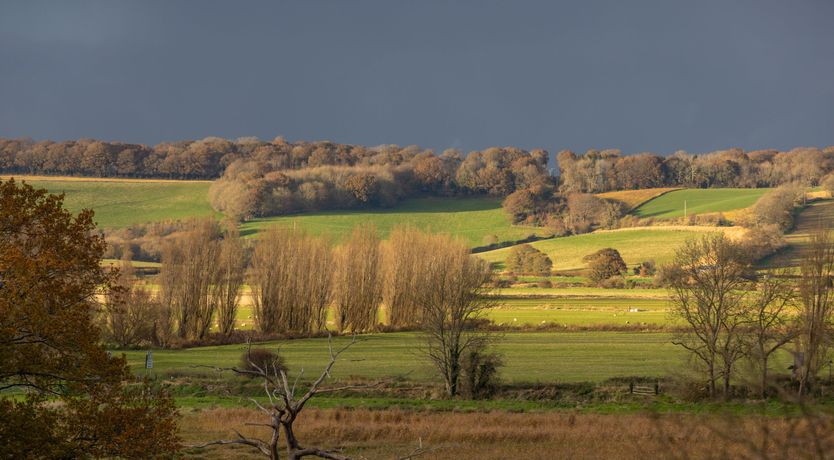 Photo of Cri de Coeur