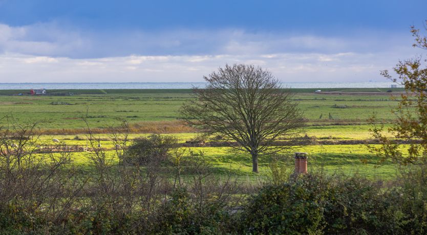 Photo of Cri de Coeur