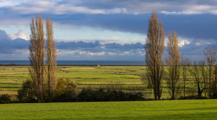 Photo of Cri de Coeur