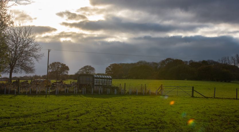 Photo of Cri de Coeur