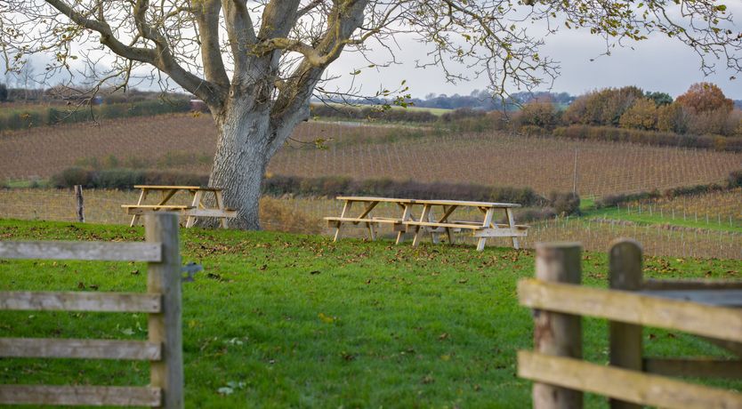 Photo of Cri de Coeur