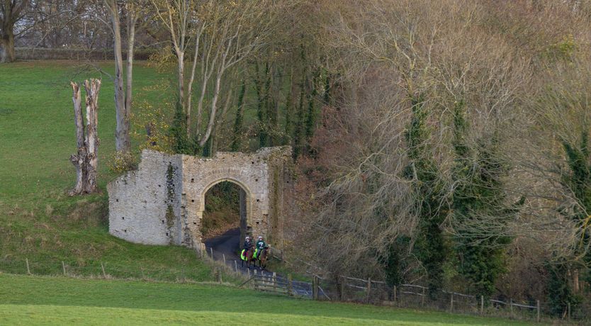 Photo of Cri de Coeur