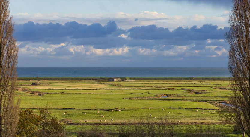 Photo of Cri de Coeur