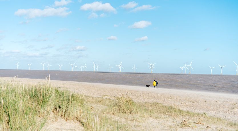 Photo of Castles Made of Sand