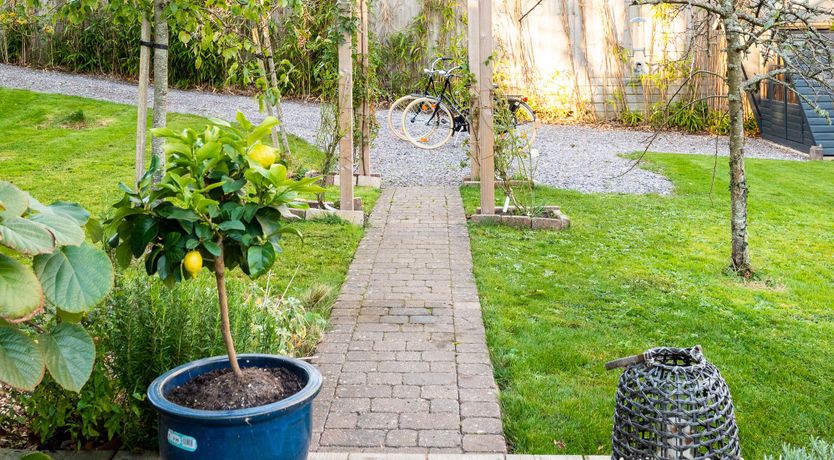 Photo of Shingle Beach