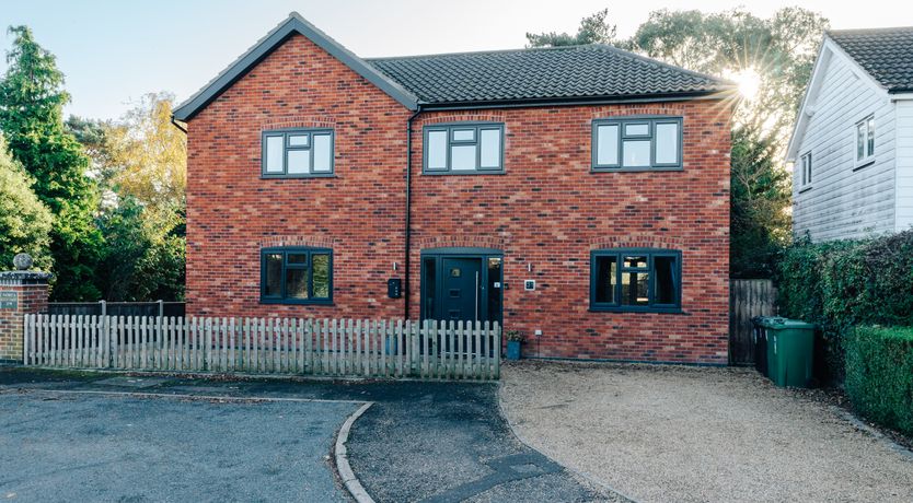 Photo of Swallowtail Summer