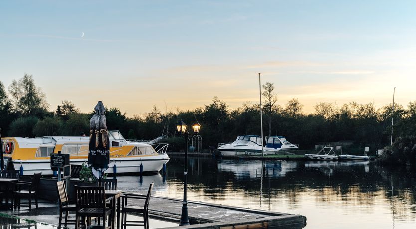 Photo of Swallowtail Summer