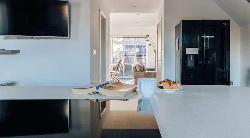 Photo of Swallowtail Summer