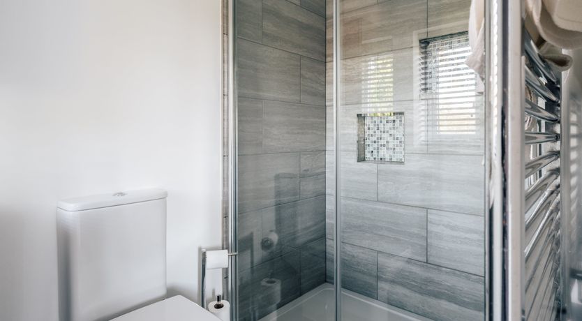 Photo of Swallowtail Summer