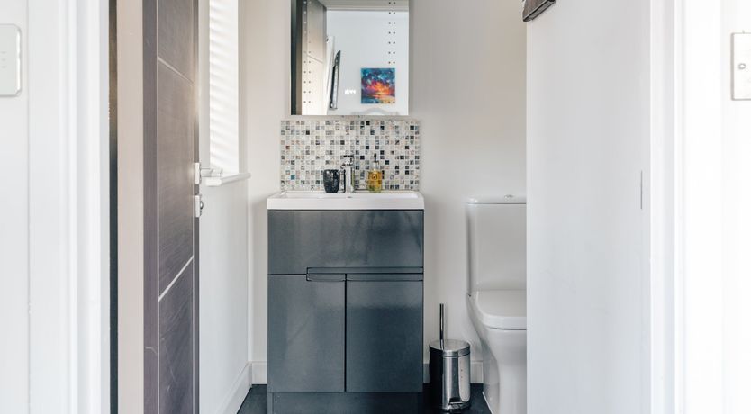 Photo of Swallowtail Summer