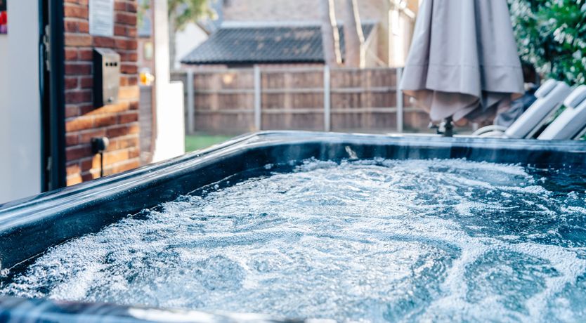 Photo of Swallowtail Summer