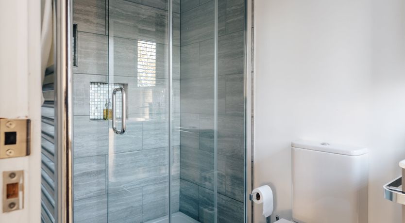 Photo of Swallowtail Summer