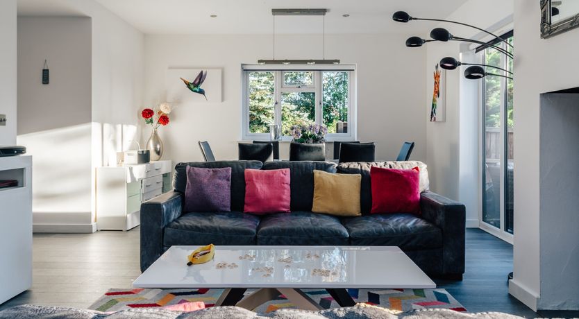 Photo of Swallowtail Summer