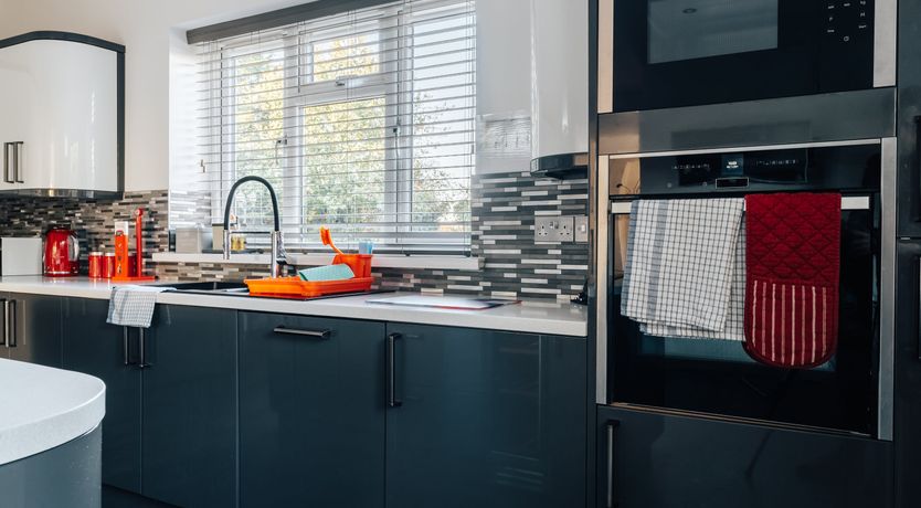 Photo of Swallowtail Summer