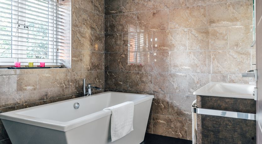 Photo of Swallowtail Summer