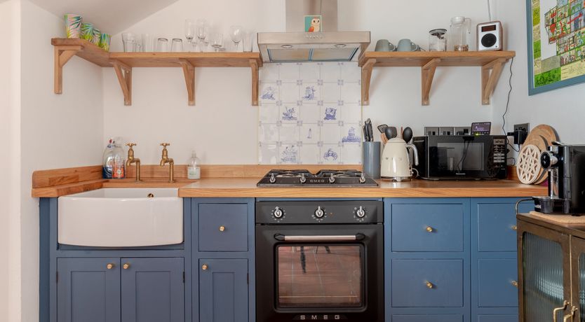 Photo of Pale Blue Gull