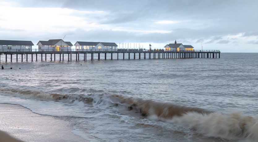 Photo of Pale Blue Gull
