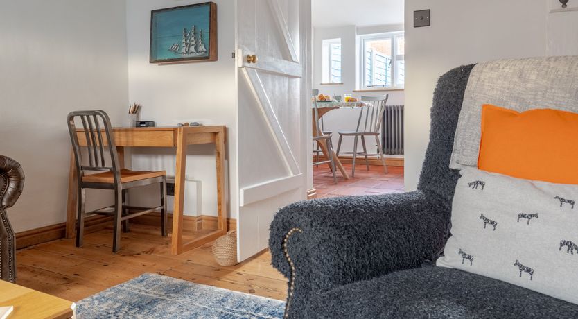 Photo of Pale Blue Gull