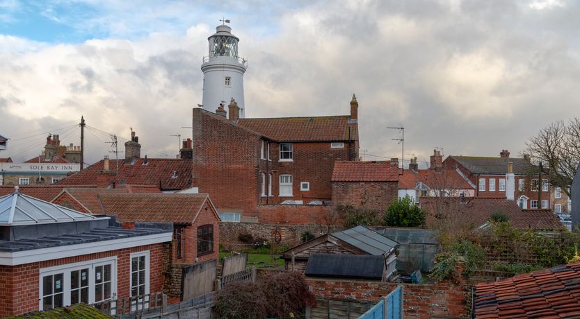 Photo of Pale Blue Gull