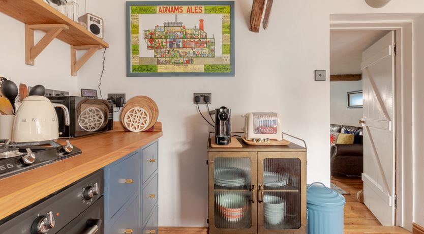 Photo of Pale Blue Gull