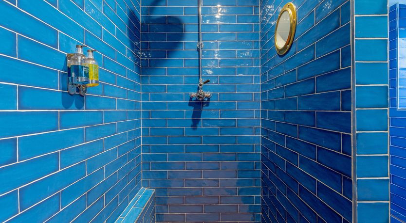 Photo of Pale Blue Gull