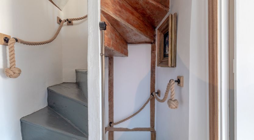 Photo of Pale Blue Gull