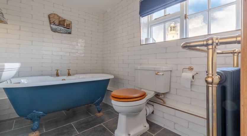 Photo of Pale Blue Gull