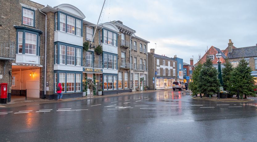 Photo of Pale Blue Gull