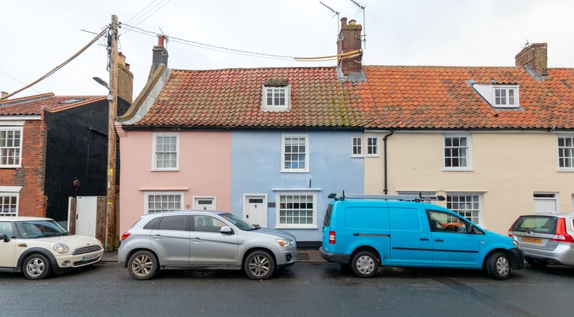 Photo of Pale Blue Gull
